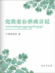 《完美老公养成日记》小说封面