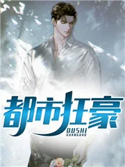 《都市枭龙》小说封面