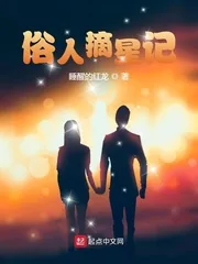 《俗人摘星记》小说封面