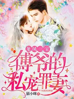 《龙凤三宝:傅爷的私宠罪妻顾奈卿》小说封面