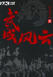 《武城风云》小说封面