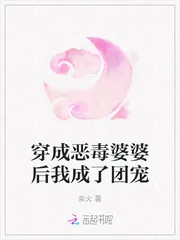 《穿成恶毒婆婆后我成了团宠》小说封面