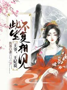 《王爷，王妃说此生不复相见》小说封面