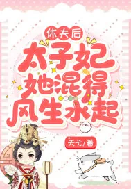 《休夫后,太子妃她混得风生水起》小说封面
