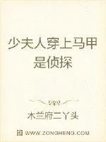 《少夫人穿上马甲是侦探》小说封面