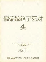 《偏偏嫁给了死对头》小说封面