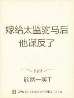 《嫁给太监驸马后他谋反了》小说封面