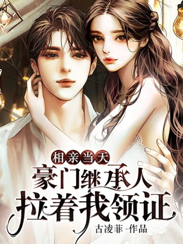 《相亲当天,豪门继承人拉着我领证海彤》小说封面