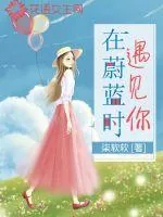 《在蔚蓝时遇见你》小说封面