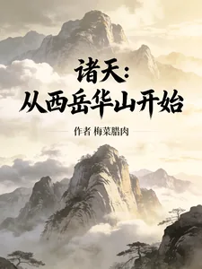 《诸天:从西岳华山开始》小说封面