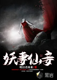 《妖妻仙妾》小说封面