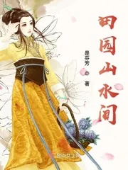《田园山水间》小说封面