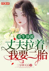 《重生顶流,丈夫拉着我要二胎》小说封面