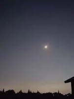 《我只是普通人类》小说封面