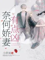 《奈何娇妻有点凶》小说封面