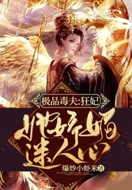 《极品毒夫:狂妃她娇媚迷人心》小说封面