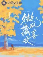 《微风藏欢喜》小说封面