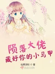 《陨落大佬藏好你的小马甲》小说封面