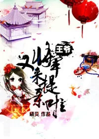 《王爷,将军又来提亲啦》小说封面