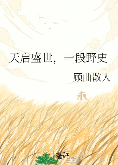 《天启盛世,一段野史》小说封面