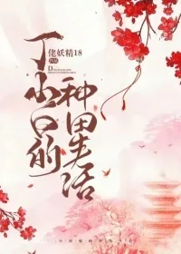 《丁小白的种田生活》小说封面