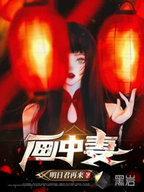 《画中妻》小说封面