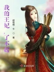 《我的王妃,了不起!》小说封面
