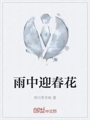 《雨中迎春花》小说封面