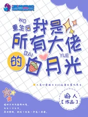 《重生后我是所有大佬的白月光》小说封面