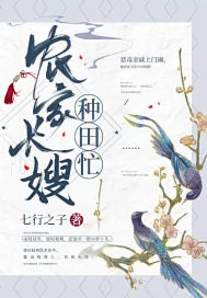 《农家长嫂种田忙》小说封面