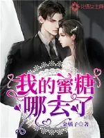 《我的蜜糖哪去了》小说封面