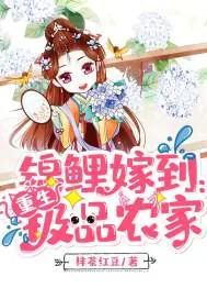 《锦鲤嫁到：重生极品农家》小说封面