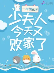 《少夫人今天又败家了》小说封面