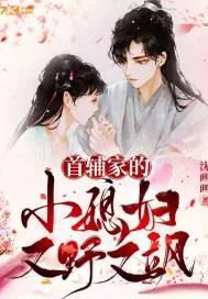 《首辅家的小媳妇又野又飒》小说封面