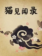 《猫见闻录》小说封面