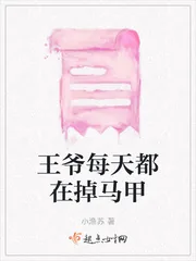 《王爷每天都在掉马甲》小说封面