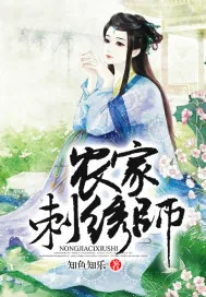 《农家刺绣师》小说封面
