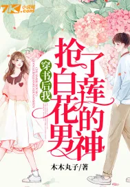《穿书后我抢了白莲花的男神》小说封面