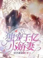 《独宠千亿小娇妻》小说封面