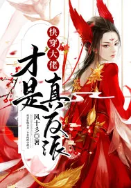 《快穿大佬才是真反派》小说封面