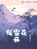 《樱雪花开》小说封面