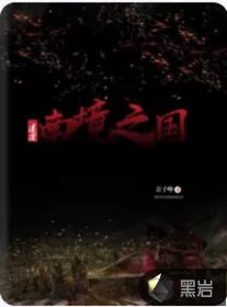 《迷途；南境之国》小说封面