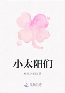《小太阳们》小说封面