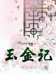 《玉金记》小说封面