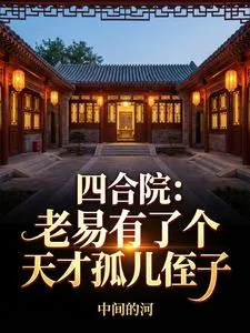《四合院:老易有了个天才孤儿侄子》小说封面