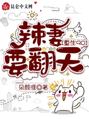 《重生90:辣妻要翻天》小说封面