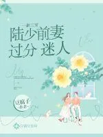 《一胎三宝:陆少前妻过分迷人》小说封面