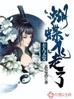 《夫人又变蝴蝶飞走了》小说封面