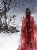 《一生一世异双魂》小说封面