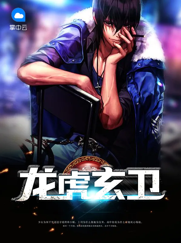 《盖世神王》小说封面